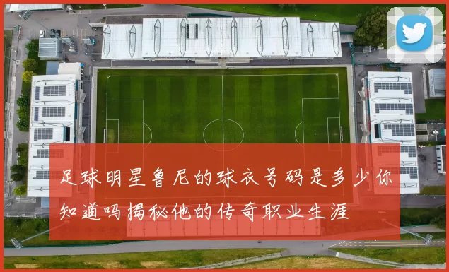 足球明星鲁尼的球衣号码是多少你知道吗揭秘他的传奇职业生涯