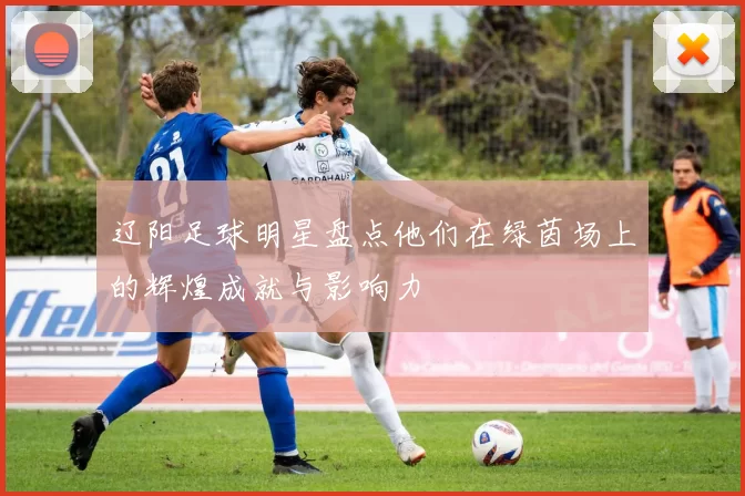 辽阳足球明星盘点他们在绿茵场上的辉煌成就与影响力