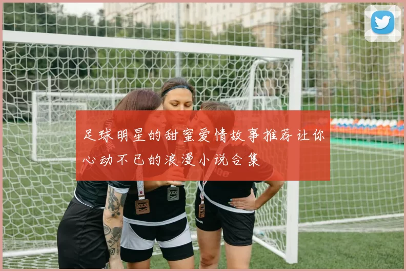足球明星的甜蜜爱情故事推荐让你心动不已的浪漫小说合集