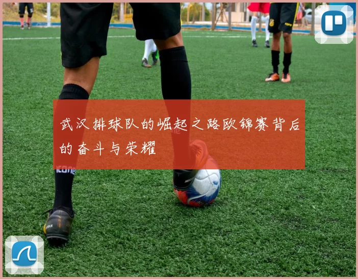 武汉排球队的崛起之路欧锦赛背后的奋斗与荣耀