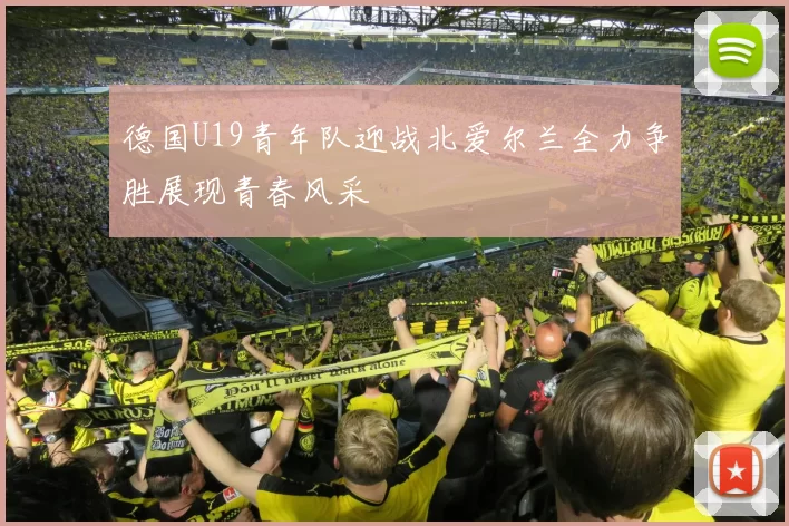 德国U19青年队迎战北爱尔兰全力争胜展现青春风采