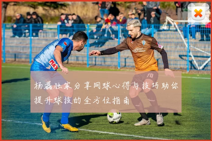 杨磊独家分享网球心得与技巧助你提升球技的全方位指南