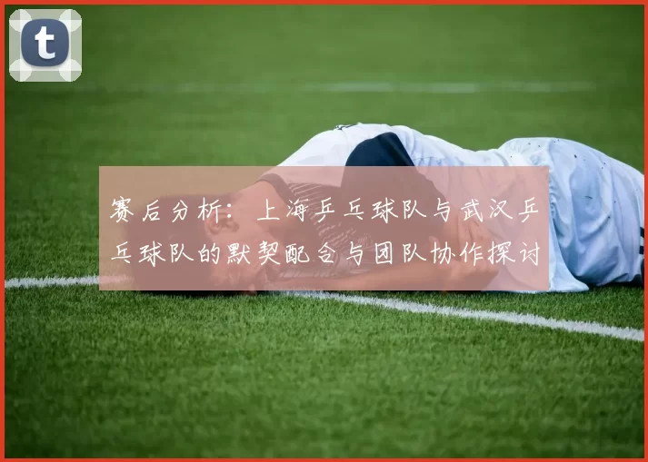 赛后分析：上海乒乓球队与武汉乒乓球队的默契配合与团队协作探讨