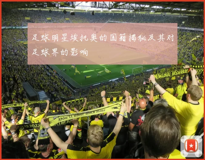 足球明星埃托奥的国籍揭秘及其对足球界的影响
