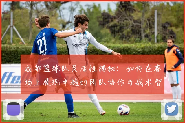 成都篮球队灵活性揭秘：如何在赛场上展现卓越的团队协作与战术智慧