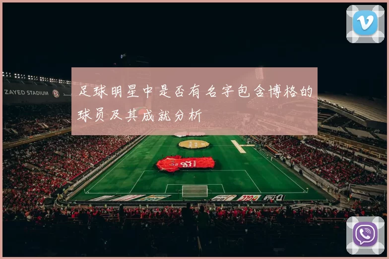 足球明星中是否有名字包含博格的球员及其成就分析