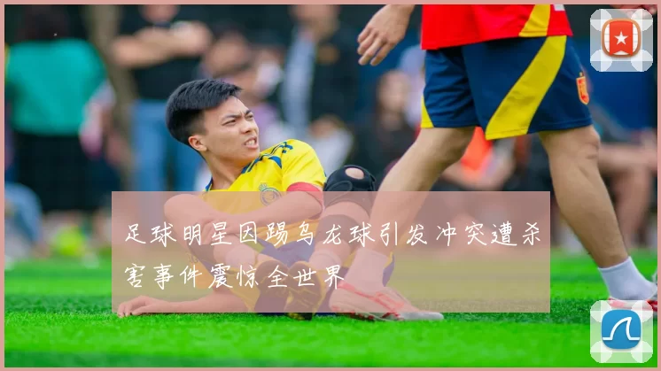 足球明星因踢乌龙球引发冲突遭杀害事件震惊全世界