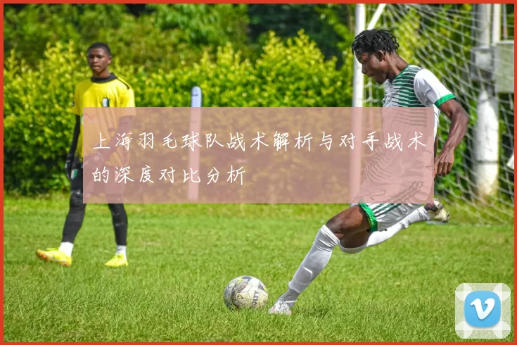 上海羽毛球队战术解析与对手战术的深度对比分析