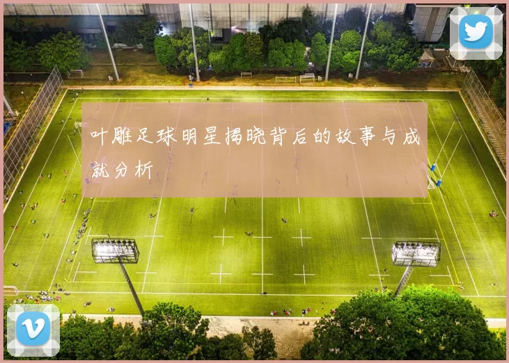 叶雕足球明星揭晓背后的故事与成就分析