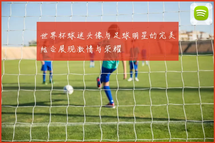 世界杯球迷头像与足球明星的完美结合展现激情与荣耀