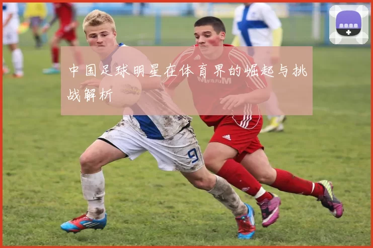 中国足球明星在体育界的崛起与挑战解析