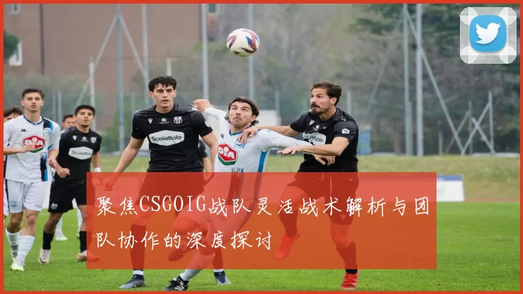 聚焦CSGOIG战队灵活战术解析与团队协作的深度探讨