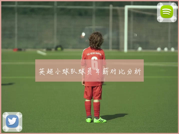 英超小球队球员年薪对比分析