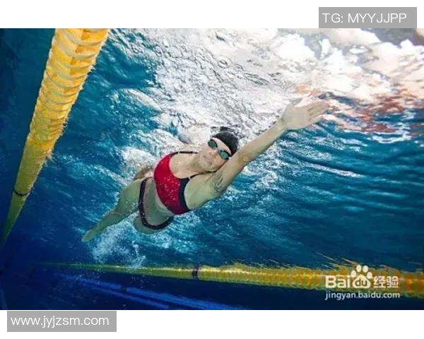 掌握自由泳技巧提升游泳速度与耐力的全方位训练方法