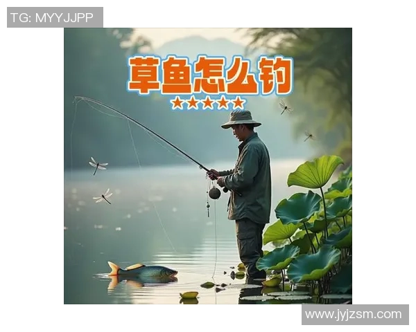 渔具选择与使用技巧全解析 提升钓鱼体验的关键要素